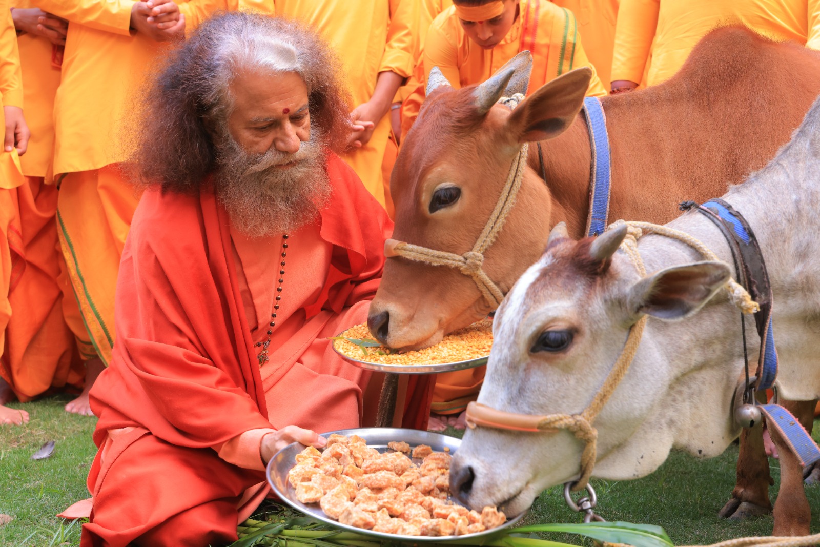 अनंत अंबानी के जन्मदिवस पर परमार्थ गंगा तट पर सेवा, संस्कार और समर्पण का दिव्य संगम 4