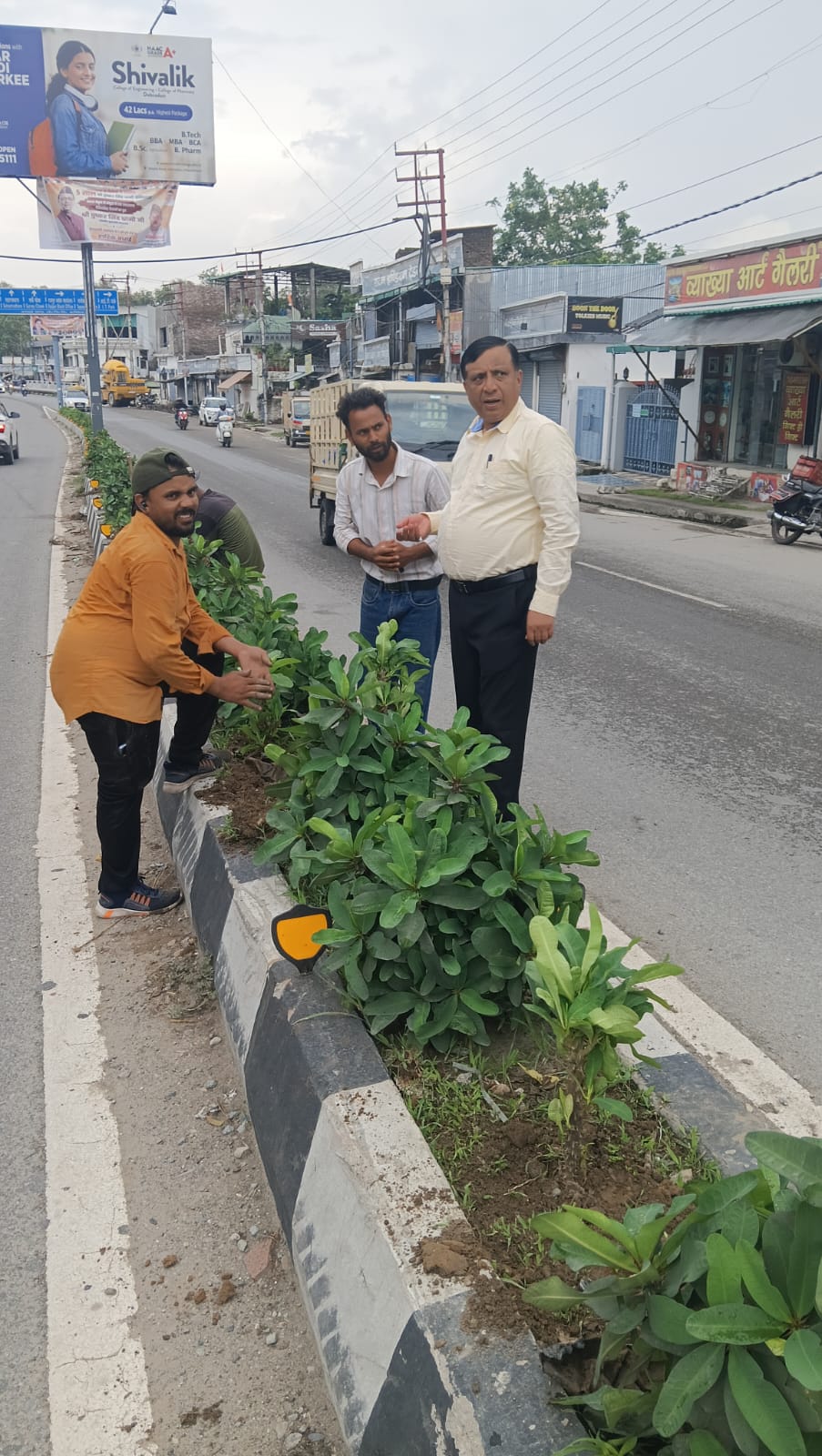 सीएम पुष्कर सिंह धामी के विजन को मिली रफ्तार, बंशीधर तिवारी के नेतृत्व में हरा-भरा हो रहा दून 7