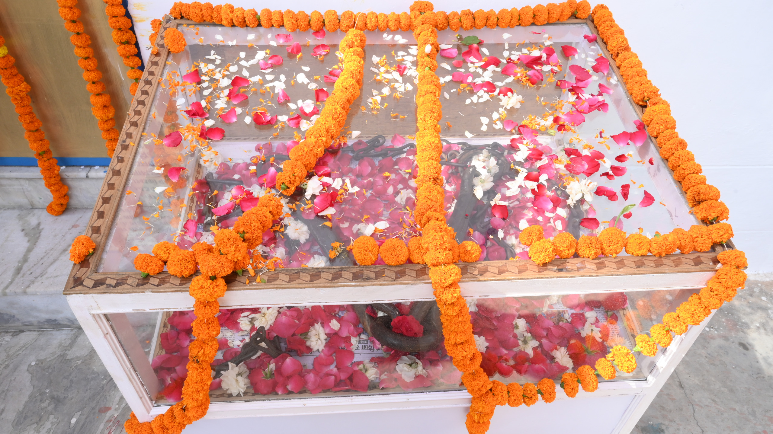 दूरस्थ गांव सारी में लगा ‘सेवा, सुशासन एवं समर्पण’ बहुद्देशीय शिविर 3