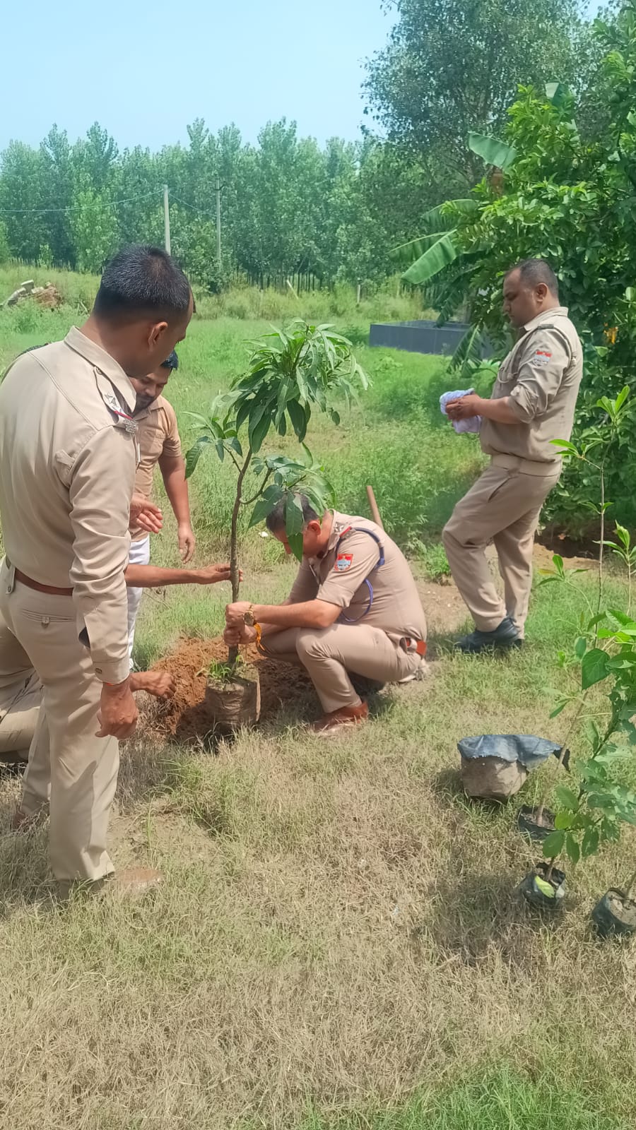 हरेला पर्व को पूरे उत्साह, उमंग एवं पर्यावरण संरक्षण के संकल्प के साथ CCR परिसर में मनाया गया 12