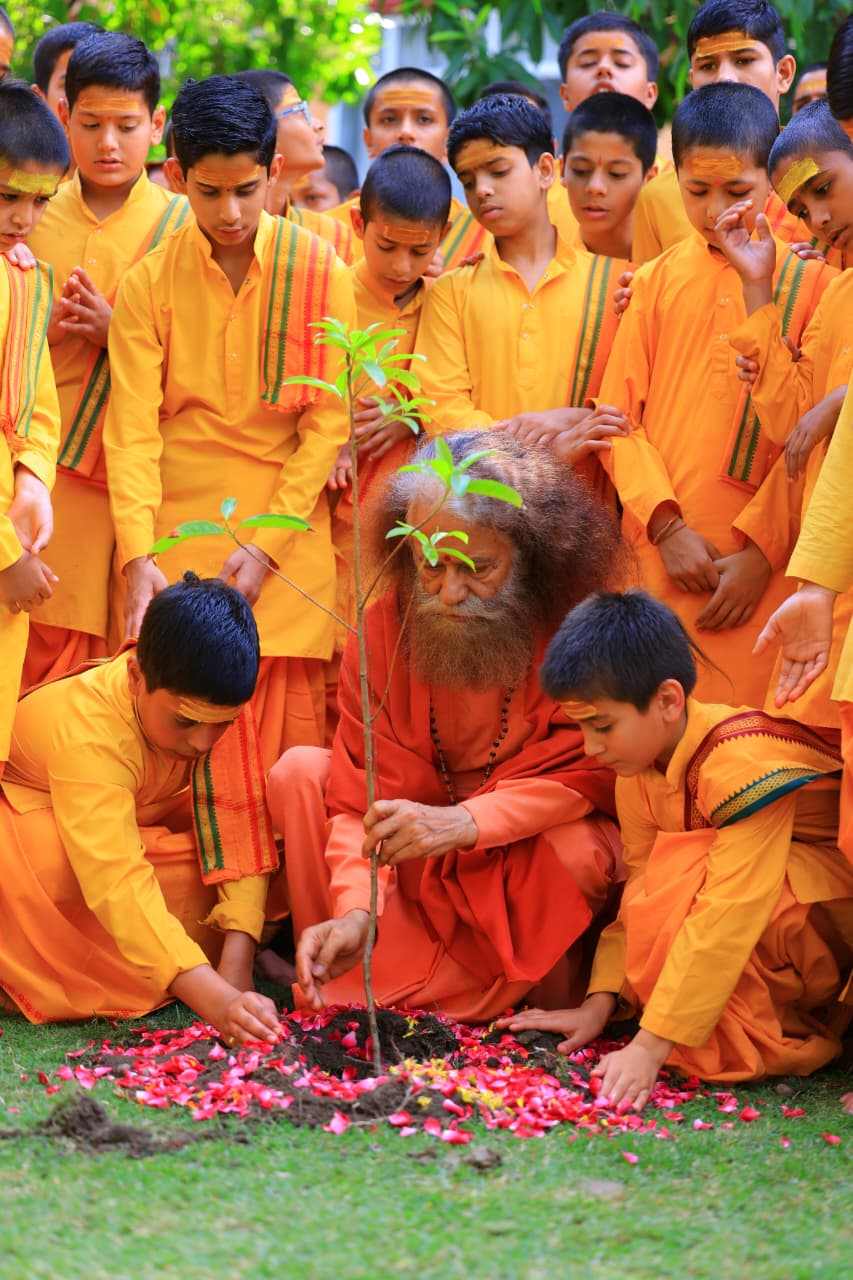 हरियाली अमावस्या – प्रकृति में परमात्मा के दर्शन 10