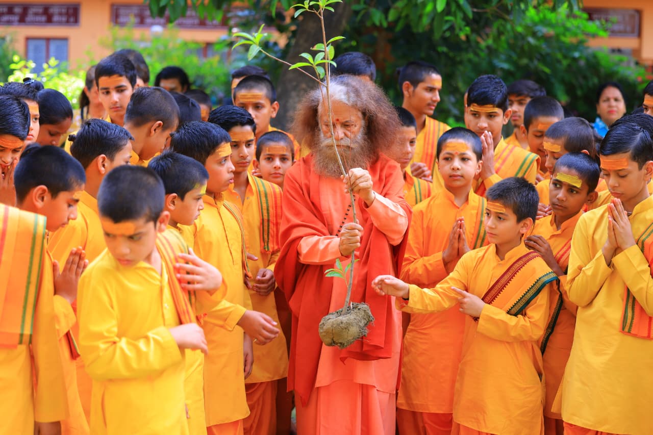 हरियाली अमावस्या – प्रकृति में परमात्मा के दर्शन 6