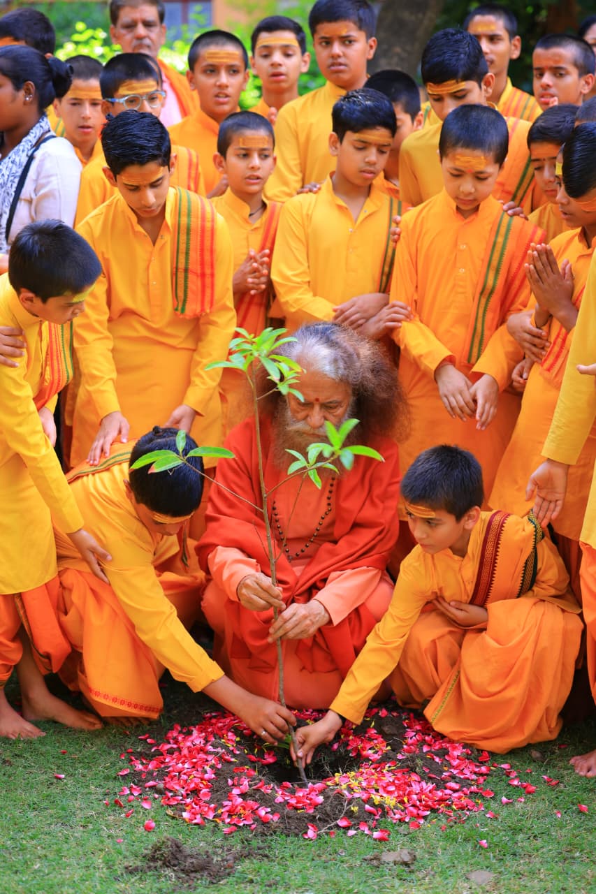 हरियाली अमावस्या – प्रकृति में परमात्मा के दर्शन 7