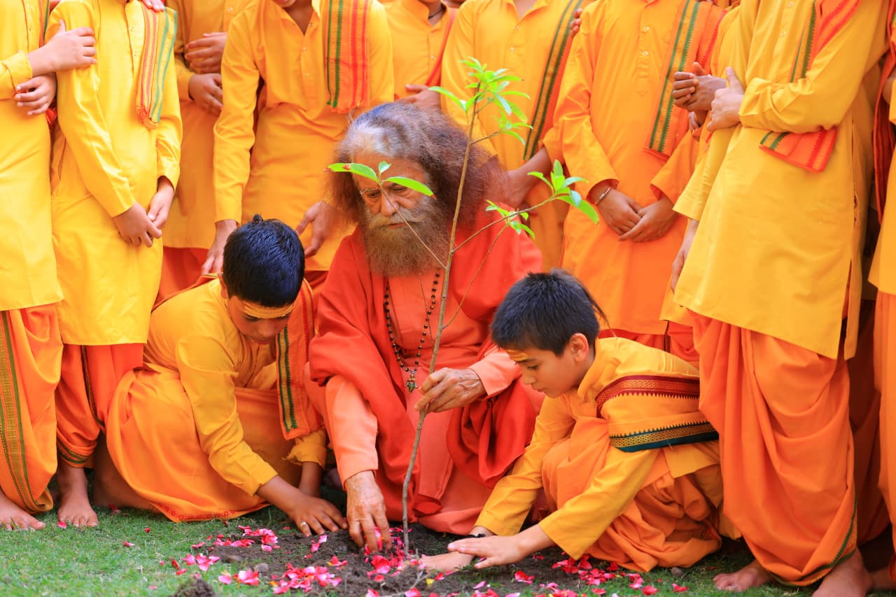 हरियाली अमावस्या – प्रकृति में परमात्मा के दर्शन 5