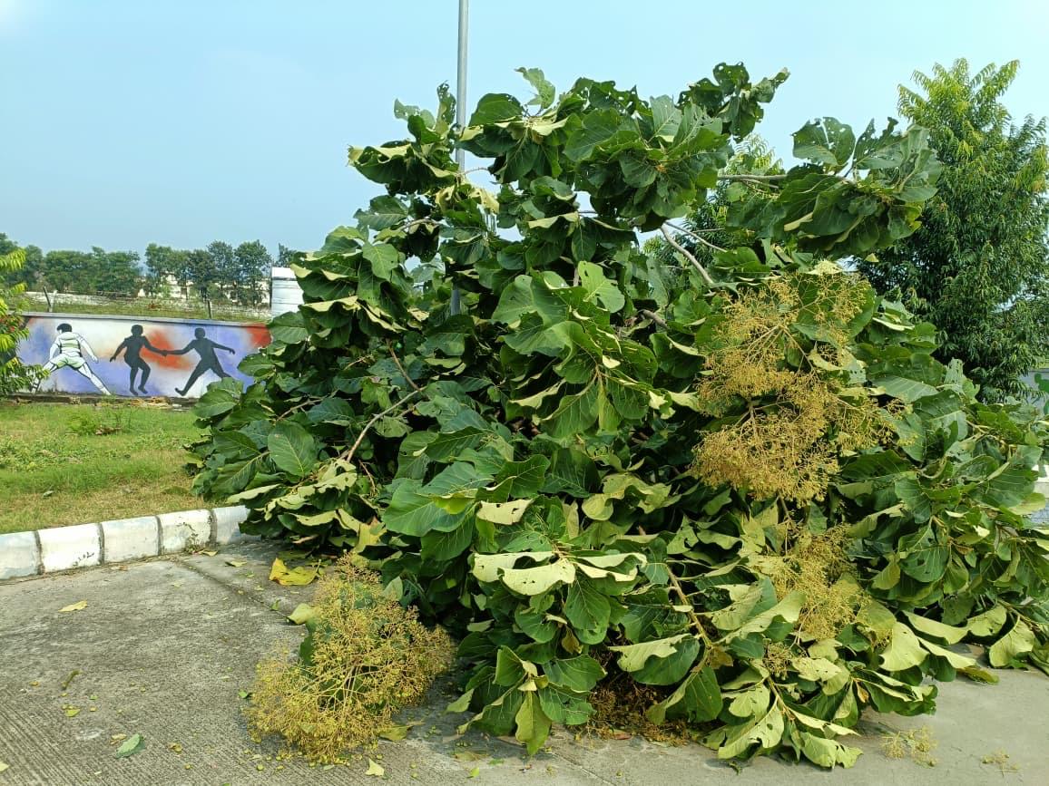 आंधी-तूफान एवं ओलावृष्टि से हुए नुकसान का आकलन कर प्रभावितों को राहत पहुंचाने के लिए जिलाधिकारी मयूर दीक्षित ने अधिकारियों को दिए निर्देश 3