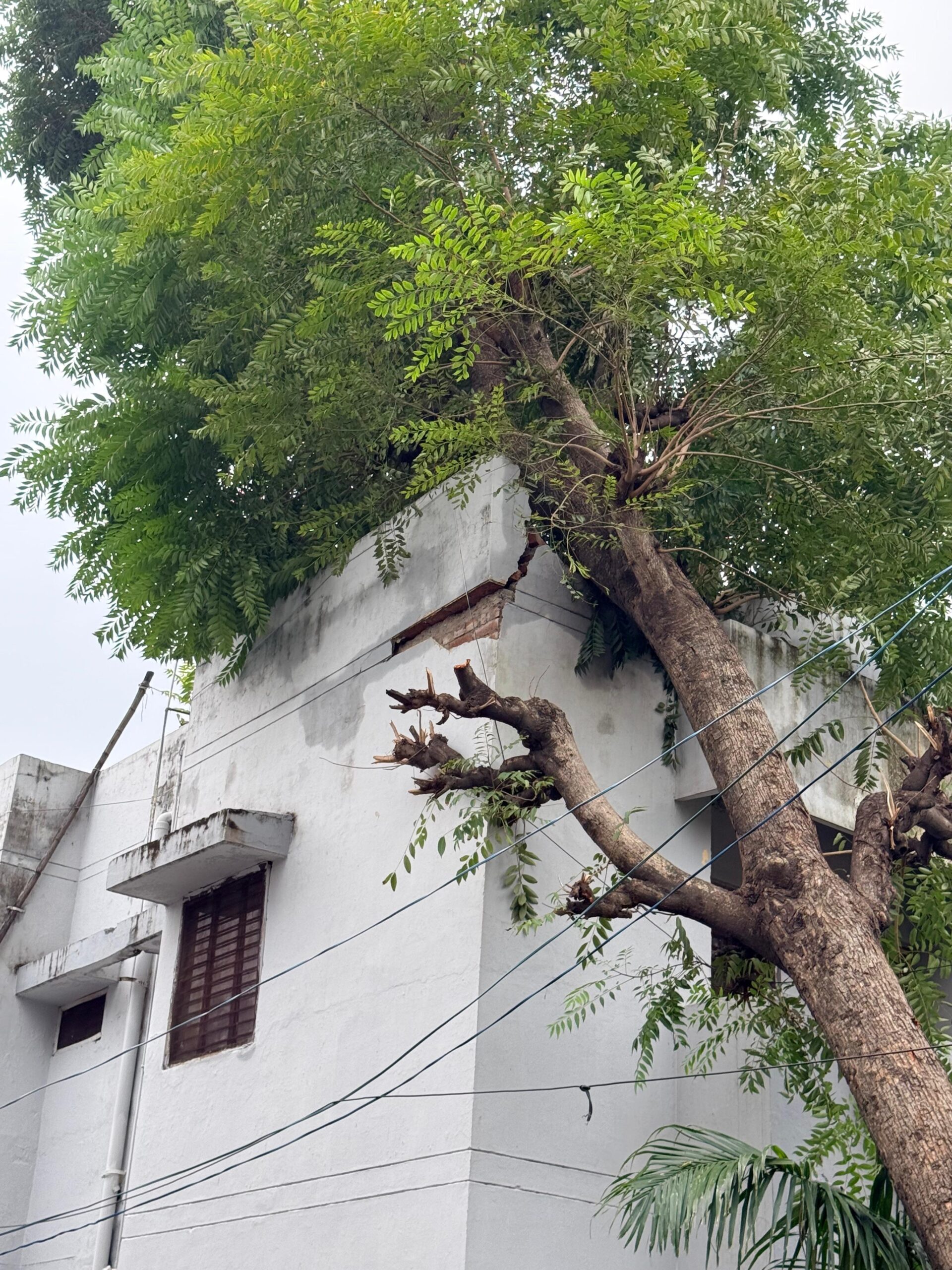 आंधी-तूफान एवं ओलावृष्टि से हुए नुकसान का आकलन कर प्रभावितों को राहत पहुंचाने के लिए जिलाधिकारी मयूर दीक्षित ने अधिकारियों को दिए निर्देश 2